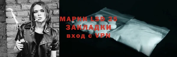 PSILOCYBIN Майский