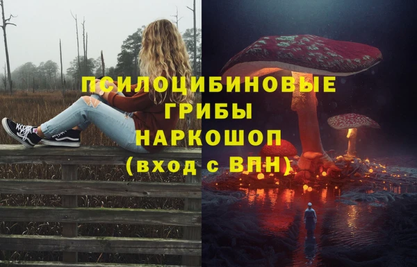 прущая мука Магас