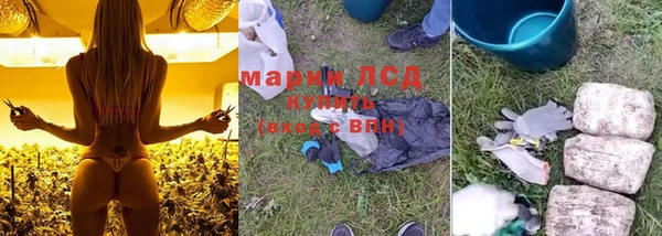 стаф Магадан