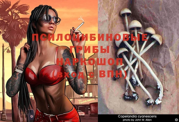 стаф Магадан