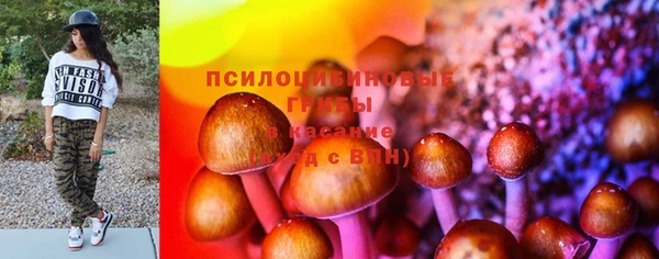 прущая мука Магас