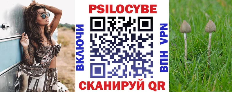 Галлюциногенные грибы Cubensis  Камешково 